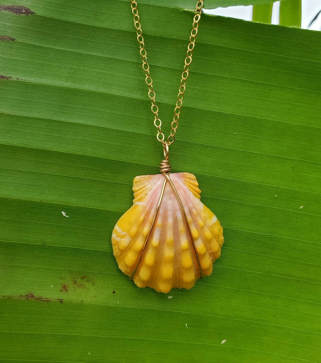 Sunrise Shell Necklace Gold Filled Hawaii Necklace Shell Etsy