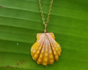 Sunrise Shell Necklace, Gold filled, Hawaii necklace, shell jewelry, mermaid, hawaii shell