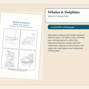 May include: A digital coloring guide titled Whales & Dolphins Behavior Coloring Guide featuring 20 printable coloring pages. The document displays four black and white line art illustrations of marine mammals in various behaviors like diving and surfacing.