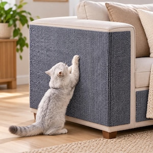 Puede incluir: Un gato gris claro con rayas oscuras en la cola araña un panel de tela texturizada azul oscuro fijado al lateral de un sofá tapizado en beige. El sofá cuenta con un cojín de color claro y un cojín decorativo marrón claro de fondo.