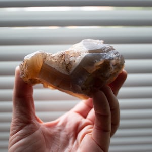 SALE Rare Agatized Wood Hampton Butte Specimen Fossilized Limb Cast Agate Crystal Fossil Specimen Oregon Agate