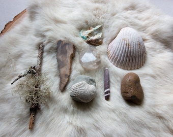 Curiosity Lot Wildish Specimens Lot Fossil Collection Seashells Mixed Rock Lot Bivalves Educational Instant Rock Collection