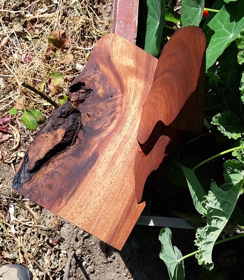 Live Edge Natural Wood Decor Exotic Parota Wood Sculpture. Etsy