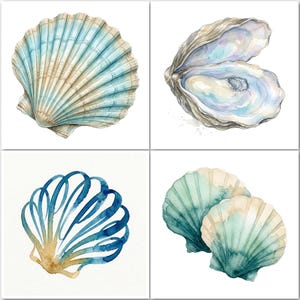 May include: A four-panel grid of watercolor illustrations featuring seashells. The top left shows a fan-shaped scallop shell in blue and tan. The top right depicts an open oyster shell. The bottom left shows a blue shell, and the bottom right shows two green shells.