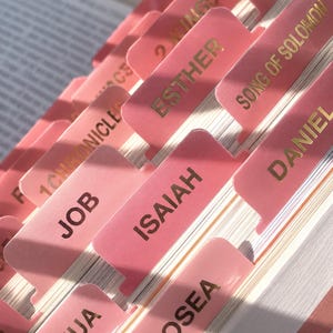 Può includere: Un set di linguette adesive rosa per bibbia con scritte dorate. Le linguette riportano i nomi di libri come Ester, Cantico dei Cantici, Daniele, Giobbe, Isaia, Osea, Giosuè, 1 Cronache e 2 Re, applicate sui bordi di pagine di carta bianca.
