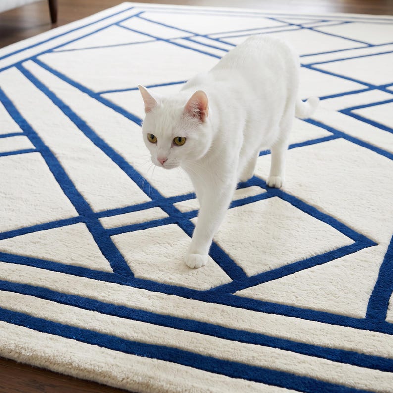 Pode incluir: Um gato branco caminha sobre um tapete de cor creme com um padr&atilde;o geom&eacute;trico arrojado de linhas grossas azul-escuras. O tapete tem um pelo macio e texturizado, com uma borda composta por riscas azuis paralelas que emolduram o design.