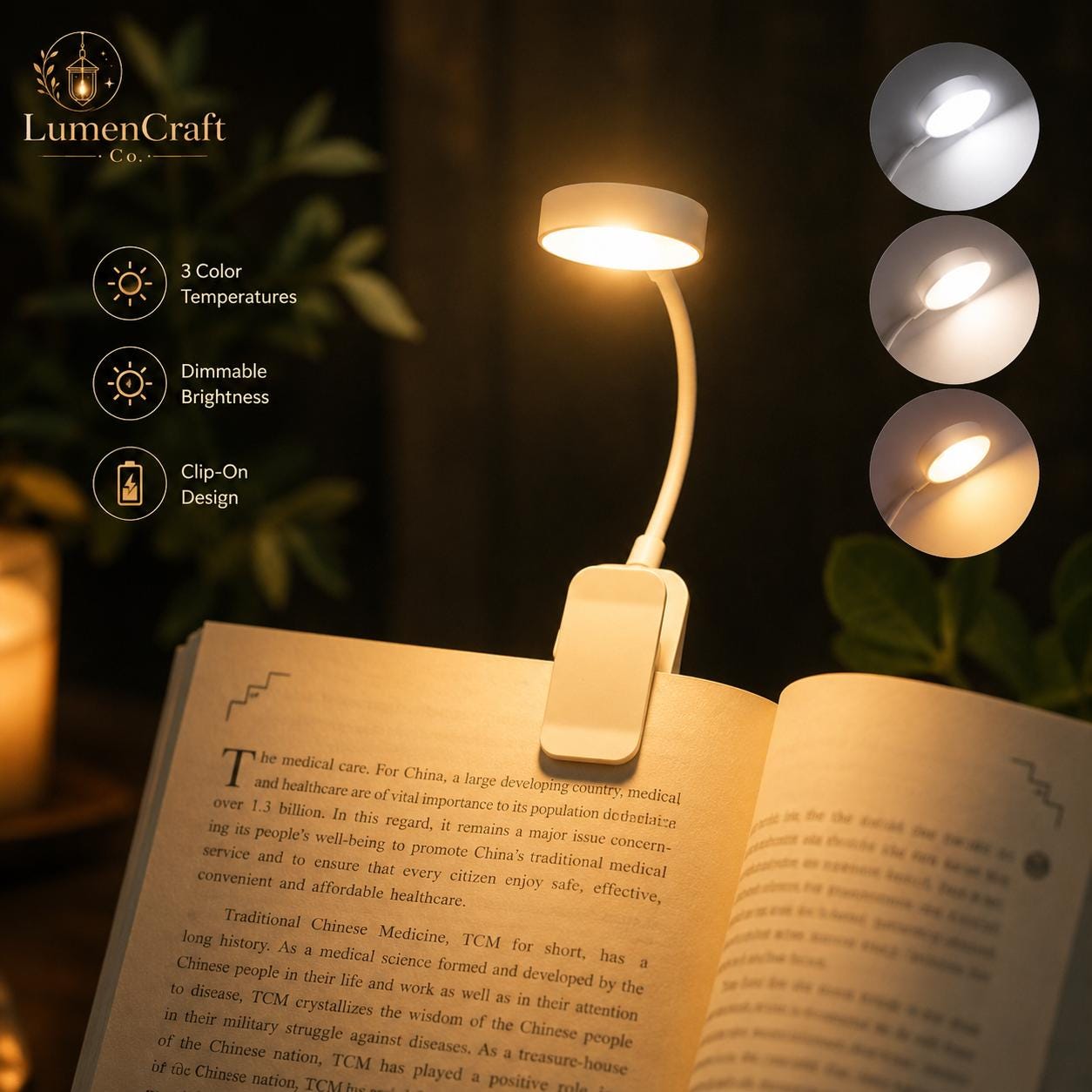 Cozy Reading Lights