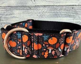 Pumpkin Potion -  1.5" Martingale Collar