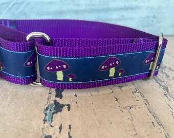 Walter’s Such a Fungi - Purple - 1.5" Martingale Collar