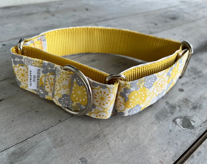 The Crickster Bixter 1.5" Martingale Collar