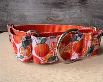 Large - Orange Grove on Orange