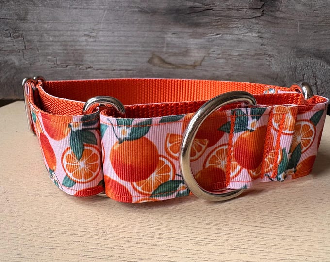 Large - Orange Grove on Orange