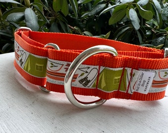 Maddox the Wilderness Explorer - 1.5" Martingale Collar