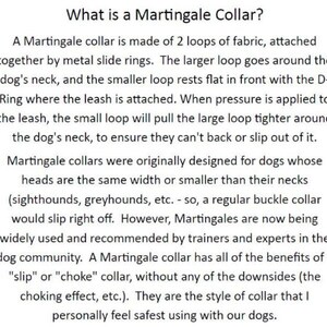 The Penny 1 Martingale Collar image 6