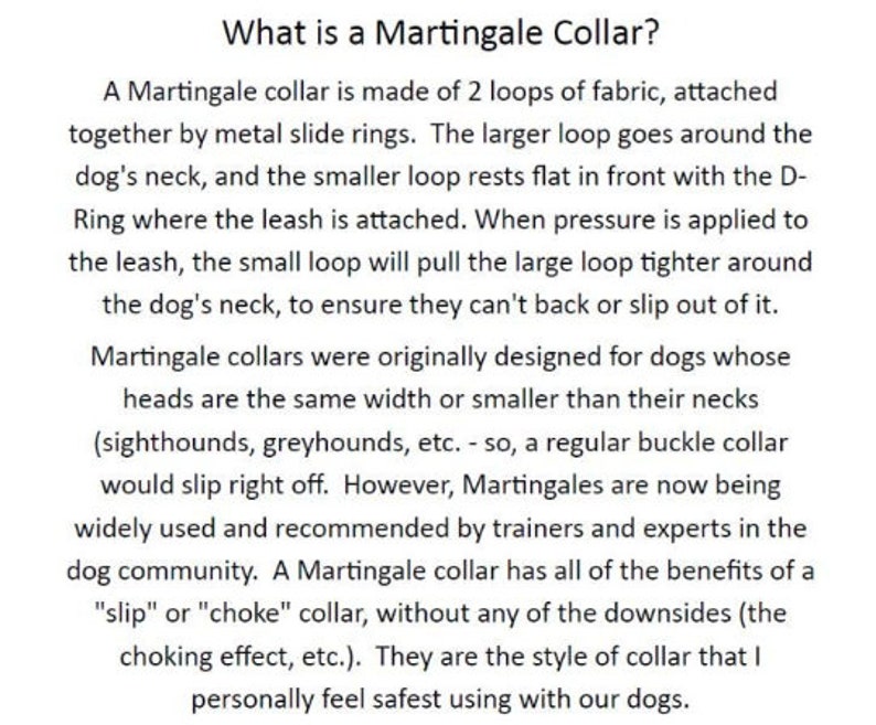 The Penny 1 Martingale Collar image 6