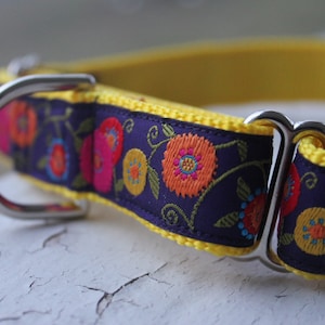 Hope&#39;s Garden - 1&quot; Martingale Collar