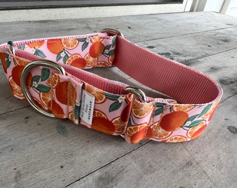 Orange Blossoms for Olive - 1.5" Martingale Collar