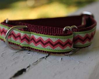 Tabby's Zigs & Zags - 3/4" Martingale Collar