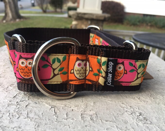 Cricket's a Hoot Owls 1.5" Martingale Collar