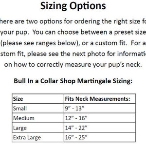 The Penny 1 Martingale Collar image 8