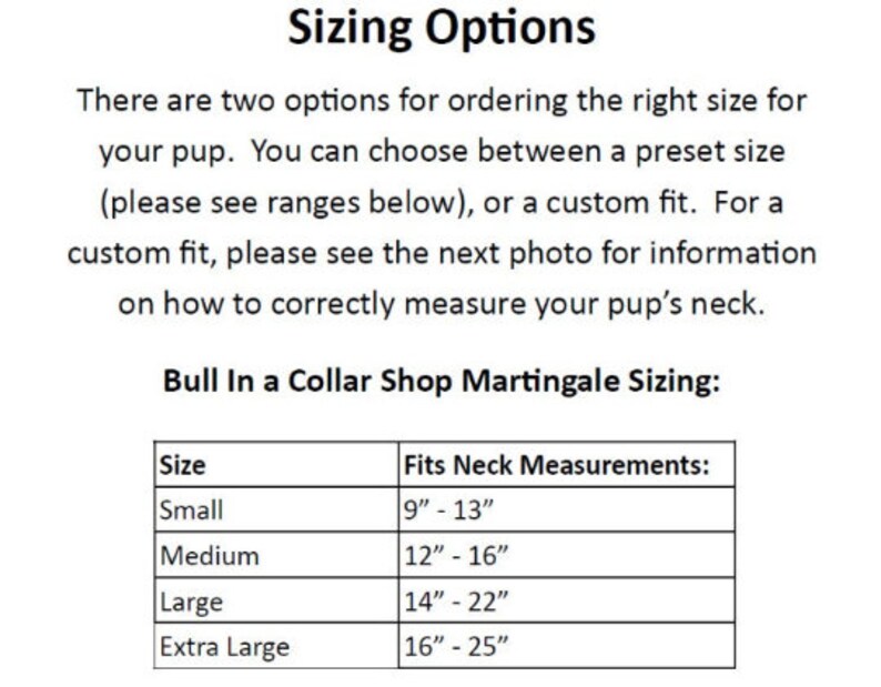 The Penny 1 Martingale Collar image 8
