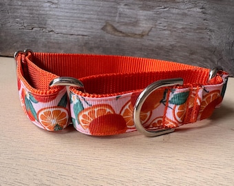 Medium - Orange Grove on Orange