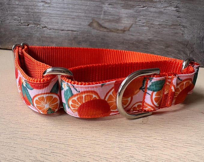 Medium - Orange Grove on Orange