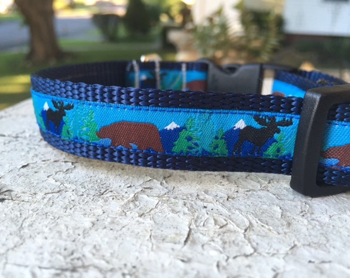 Baby Bear 3/4" Buckle Collar