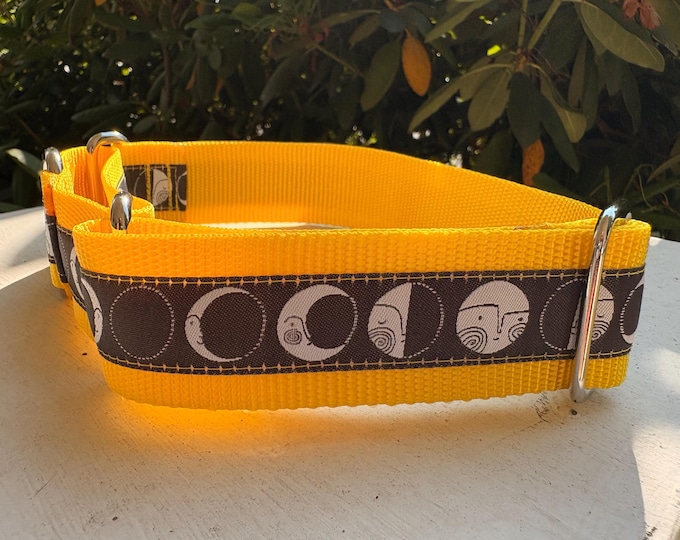 It’s Just a Phase - Yellow -  1.5" Martingale Collar