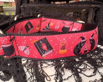 I Put a Spell On You -  1.5" Martingale Collar