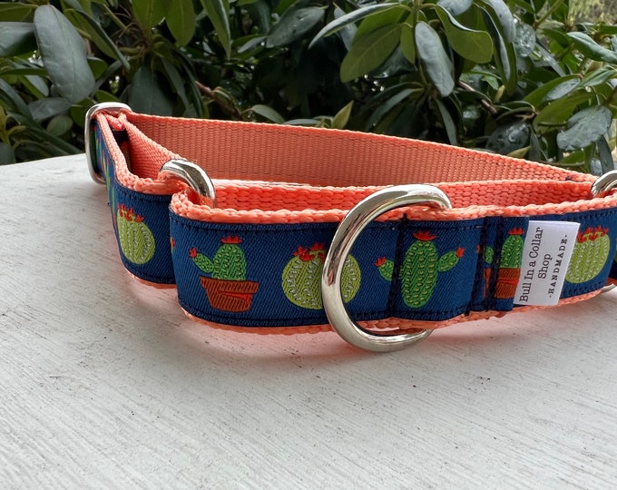 Cacti for Bane -  1" Martingale Collar