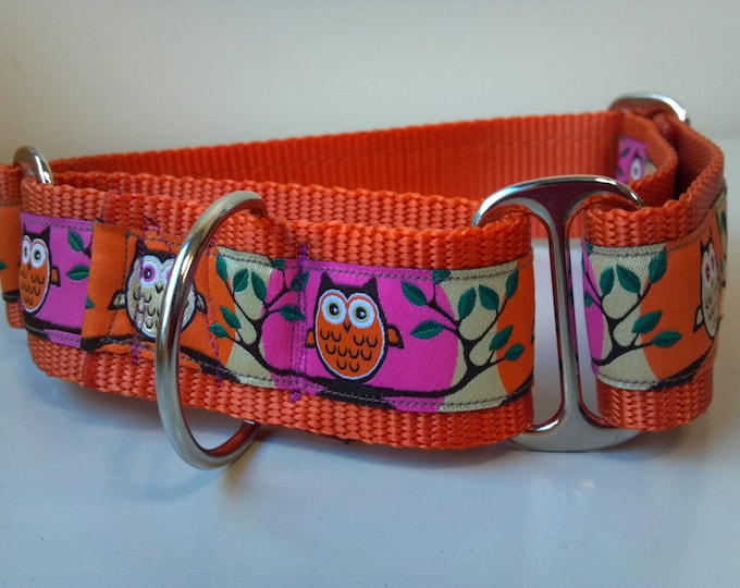 Luca's a Hoot Owls 1.5" Martingale Collar