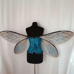 Fantasy Insect Wings: Vuxenkostym Cosplay Fairycore, LARP, Woodland Pixie-tillbehör