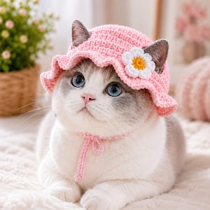May include: A light pink crocheted pet hat with a ruffled brim and a white and yellow daisy flower accent on the side. The hat features two ear holes and a matching pink crocheted chin strap with a tie closure, worn by a white and gray cat.