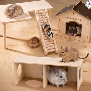 May include: A light-colored wooden small animal play set featuring a raised platform, a ladder, a tunnel structure, and a house labeled CORNER STORE. Several small rodents, including hamsters, a mouse, and a chinchilla, are interacting with the furniture.