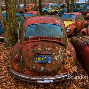 VW Bug abandoned junkyard
