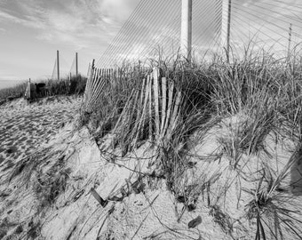 Indian River Bridge Dune Fence at Delaware Seashore State Park Black and White Delaware