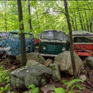 VW Bus abandoned junkyard