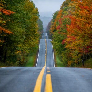Country Road West Virginia Tucker County Thomas