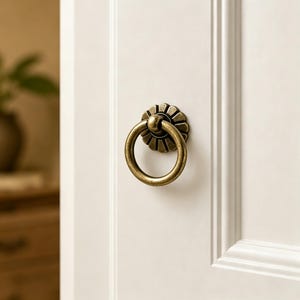 May include: A circular brass door knocker with a flower-shaped backplate mounted on a white panelled door. The metal hardware features a weathered, antique finish with a smooth, rounded ring that hangs from a central point on the decorative base.