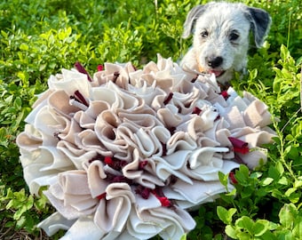 Schnüffelmatte für Hunde