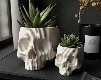 Peut inclure: Deux cache-pots blancs en forme de crâne avec une texture nervurée verticale. Le plus grand contient une plante succulente verte, et le plus petit contient une succulente plus petite. Une bougie noire avec l'étiquette Hinoki Fantôme est présente.
