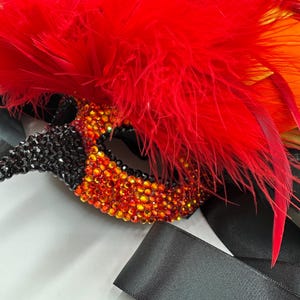 May include: A decorative mask with black and orange rhinestones, red feathers, and black satin ribbons. The mask has a pointed nose and is embellished with sparkling crystals. The feathers are vibrant and add a dramatic flair.