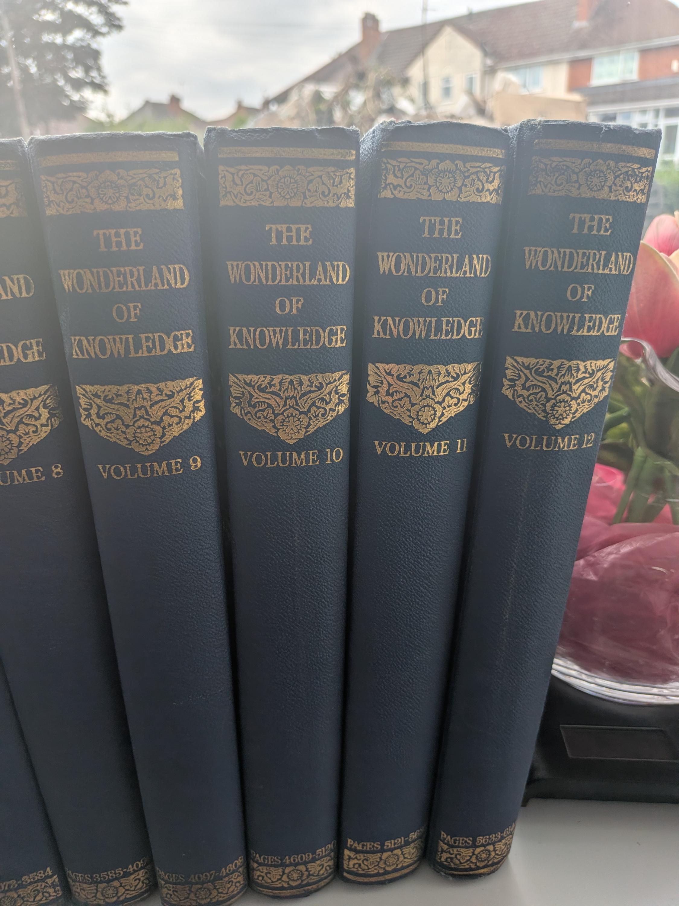 World Book Encyclopedia - Etsy Denmark