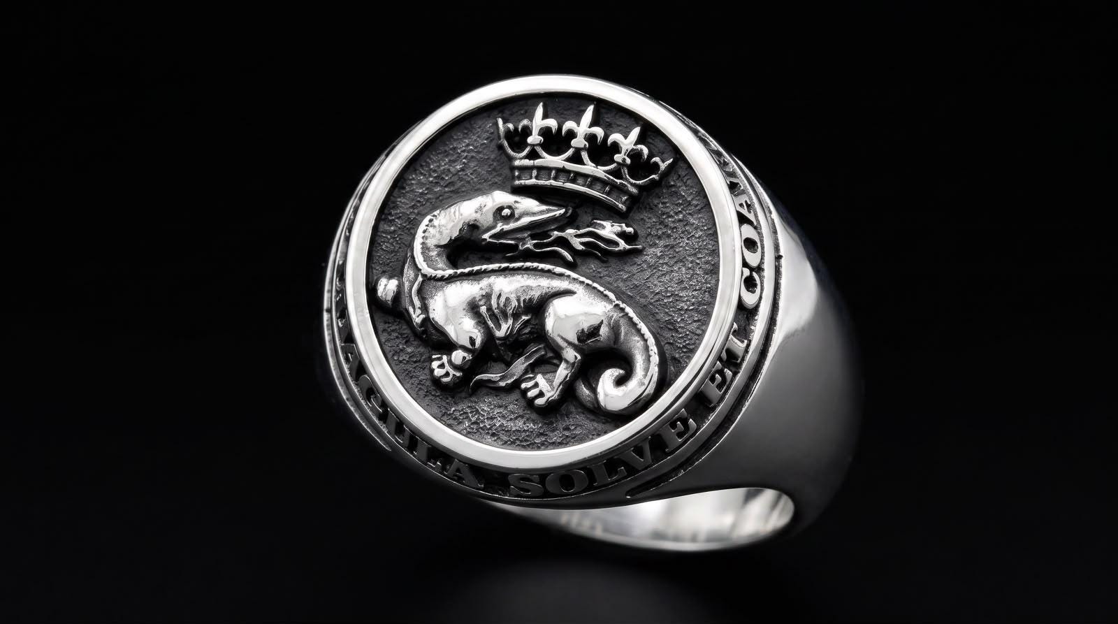 Alchemy Gothic Ring - Etsy