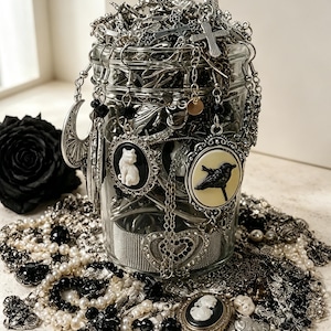 May include: A clear glass jar filled with an assortment of silver-toned jewelry, including necklaces, chains, and pendants. Visible charms include a white cat cameo, a black bird silhouette, and various cross designs, surrounded by pearl and black bead strands.