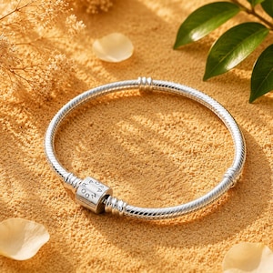 May include: A silver snake chain bracelet featuring a cylindrical clasp engraved with the text PANDORA. The bracelet has a flexible, textured metal design with two fixed stations along the band to hold charms in place, creating a circular shape.