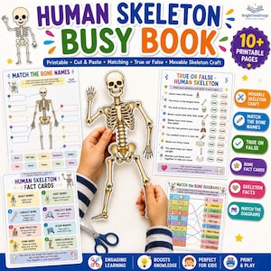 Human Skeleton Busy Book Printable | Human Anatomy Activity Pack | Preschool curriculum | Montessori Materials | Homeschool Learning