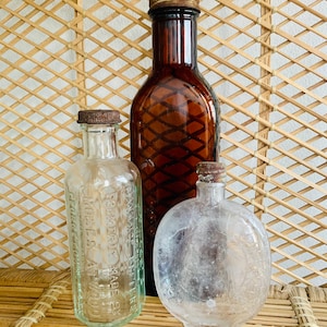 3 antique glass bottles - propagation station
