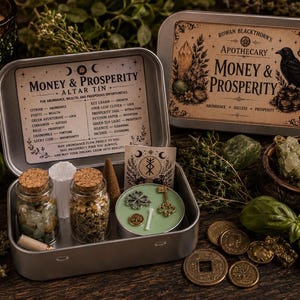May include: A silver metal altar tin labeled Money & Prosperity containing two small corked glass jars with herbs and crystals, a green candle with metal charms, a selenite wand, incense, and a card with text and symbols.